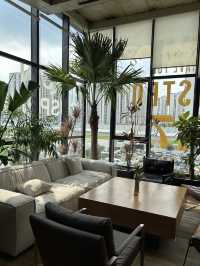 Spring Whispers in the Heart of Changchun