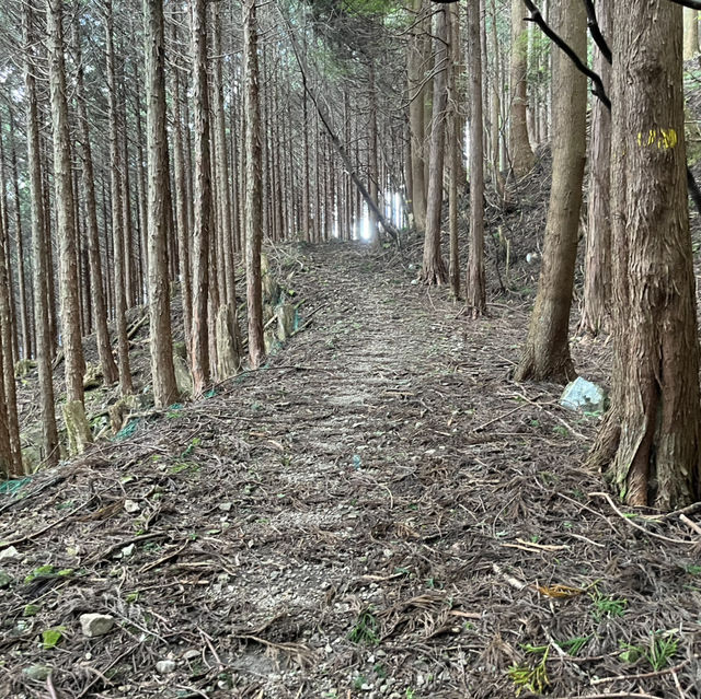 まつさかイレブン【高見山】⛰️