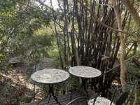🌿 ร้านกาแฟใต้ถุนบ้าน กลางเมืองระยอง 🌿 