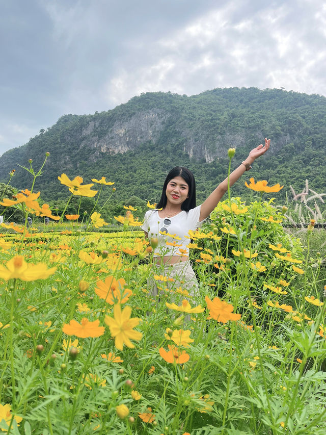 วอนแดซอง: เกาหลีทิพย์ มุมดอกไม้สีเหลืองละมุนใจ วอนแดซอง: เกาหลีทิพย์ มุมดอกไม้สีเหลืองละมุนใจ