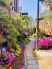 Andhour: A Cozy Spring Escape in Incheon ☕🌿