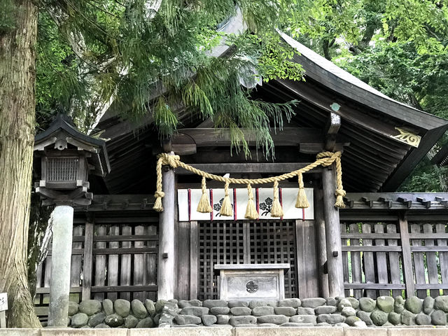 諏訪の自然と文化を味わう旅へ！諏訪大社×高原美術館×美しの塔⛩️⛰️🖼️ 