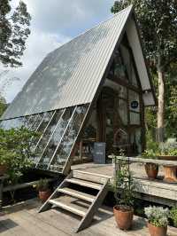 คาเฟ่เกาะเสม็ด