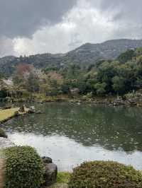 🍃 교토 텐류지(天龍寺), 마음까지 맑아지는 순간 🌸