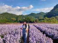 Hokkaido Flower Park Khaoyai