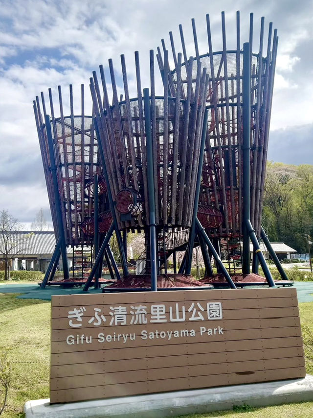 Spring Blossoms at Gifu Seiryu Satoyama Park