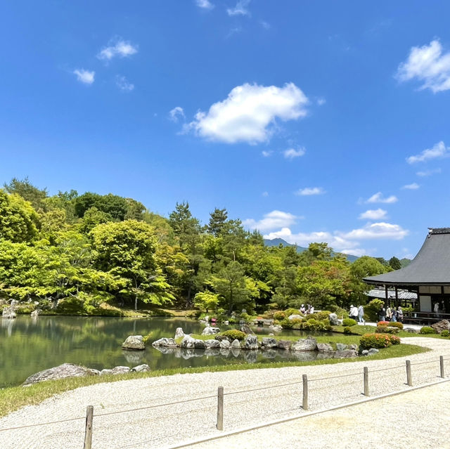 【京都】新緑に空の青さ、曹源池庭園 は素晴らしい