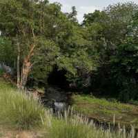 Doubleshot • Khaoyai, Nakhon Ratchasima