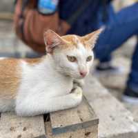 Cilincing: Jakarta’s Fishing Village