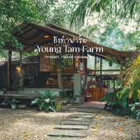 ร้านพิซซ่าลับๆ กลางสวนผลไม้