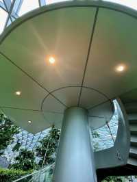 A Fun Challenge: Hedge Maze at Jewel Changi Airport 