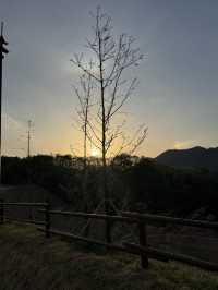 라베해요