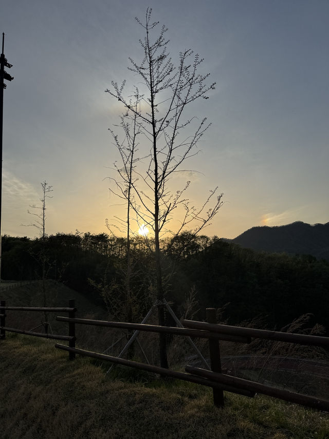 라베해요