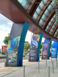 Dive into Wonder: A Journey Through S.E.A. Aquarium
