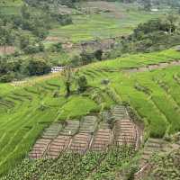 Mandaramnuwara: The Hidden Gem of Sri Lanka