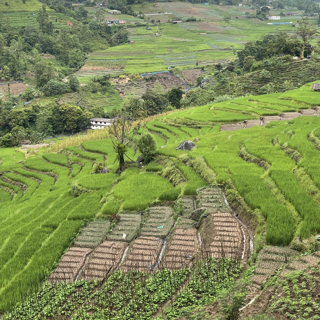 Mandaramnuwara: The Hidden Gem of Sri Lanka