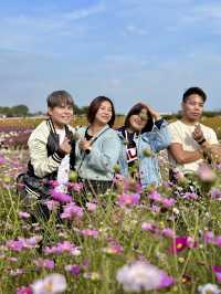 Picturesque Agricultural Theme Park