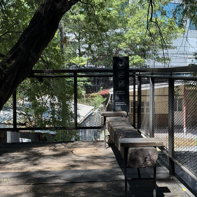 RAWR CAFE