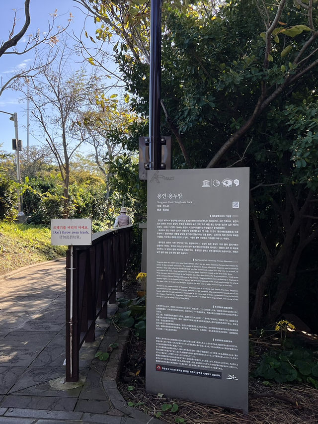 제주공항에서 꼭 가야하는 특별한 포토스팟