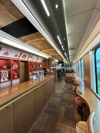 【観光列車】絶景を眺めながらごろごろ。リゾートしらかみの旅。