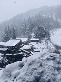 Hot Springs & Snowy Tales: Meeting Japan’s Snow Monkeys