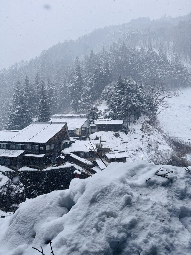Hot Springs & Snowy Tales: Meeting Japan’s Snow Monkeys