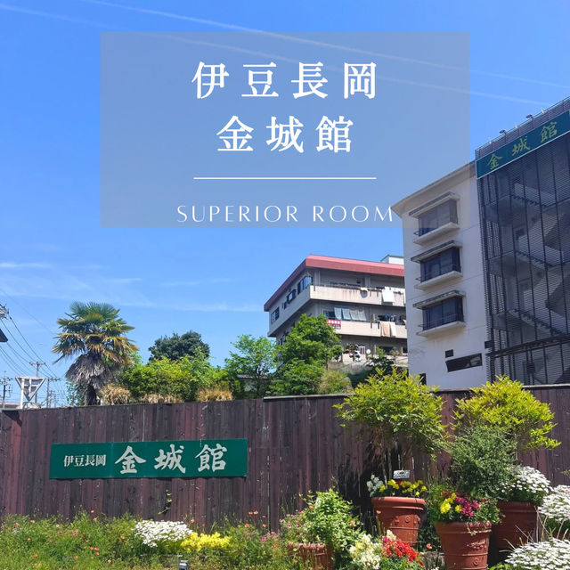 【伊豆長岡】ホテル金城館宿泊日記🏨✨