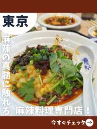 【東京女子旅】麻辣好きにはたまらない！本格中華入門の専門店！