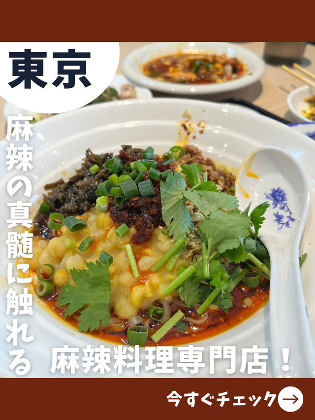 【東京女子旅】麻辣好きにはたまらない！本格中華入門の専門店！