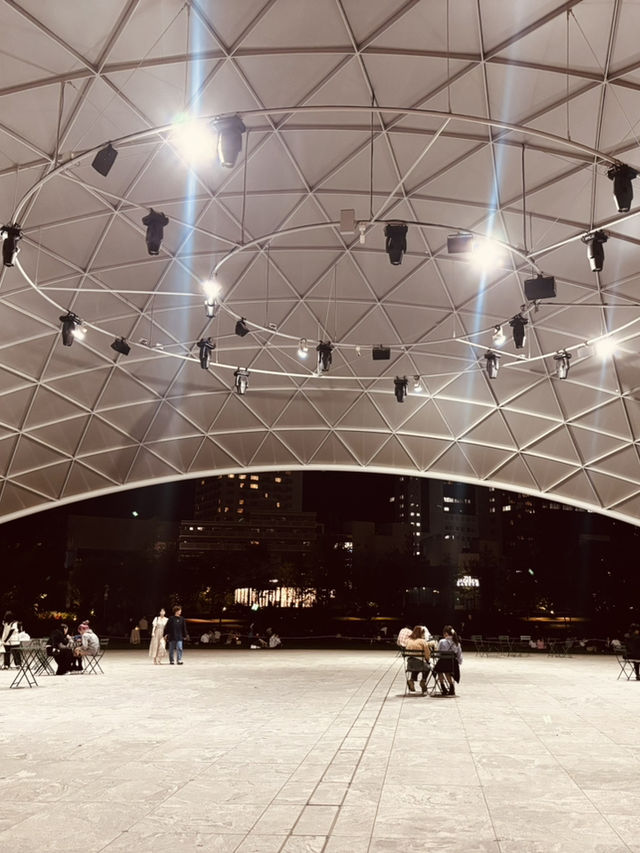  梅北公園的夜晚靜謐 🌙🌳