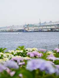 【東京×台場】海と紫陽花、船のコラボ写真が撮れるスポット
