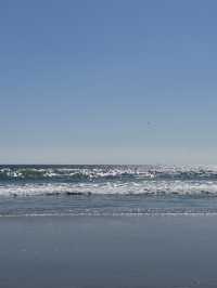 🏖️ Coronado Central Beach, 샌디에고의 럭셔리 해변!