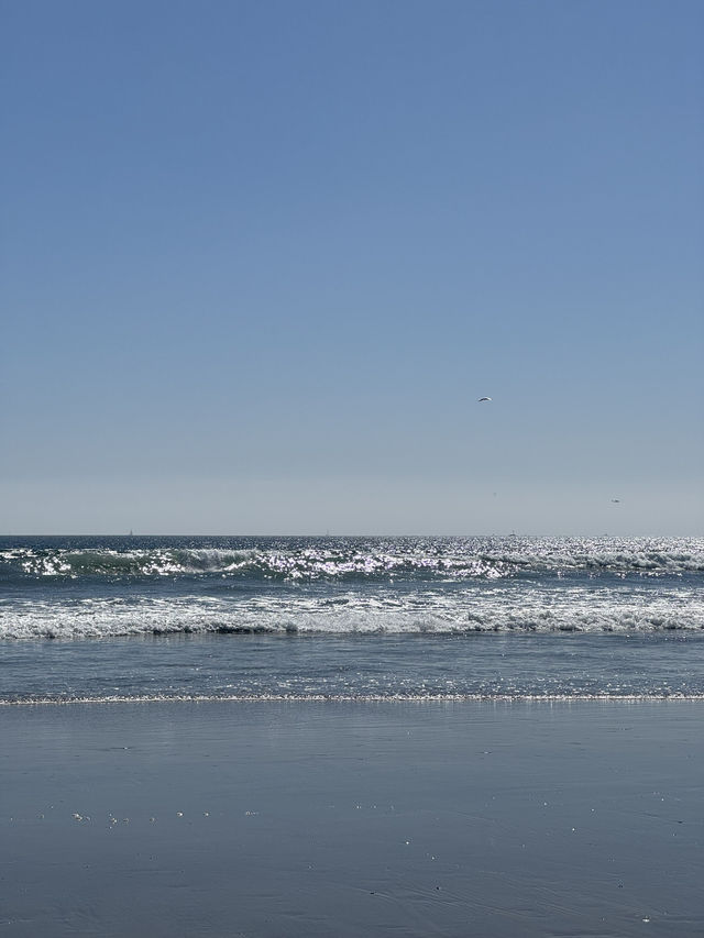 🏖️ Coronado Central Beach, 샌디에고의 럭셔리 해변!
