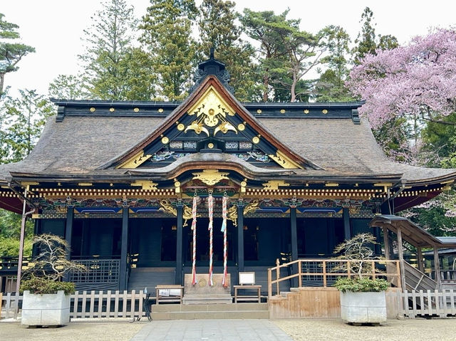 🇯🇵 仙台的歷史和賞櫻之旅