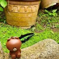 Cameron Highlands Butterfly Farm: A Colourful Nature Experience