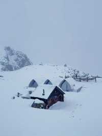 Dagu Glacier:  alpine paradise