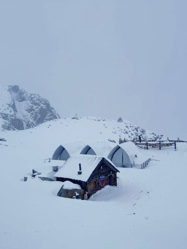 Dagu Glacier:  alpine paradise