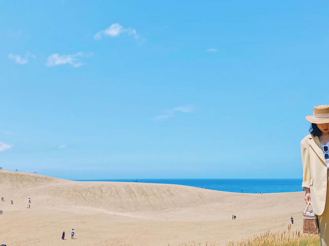 Bảo tàng cát - Cồn cát Tottori