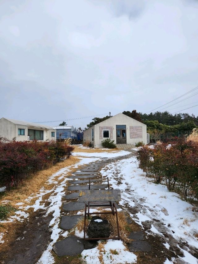 💖제주 속 포르투칼 에그타르트 찐맛집, "아줄레주"💖