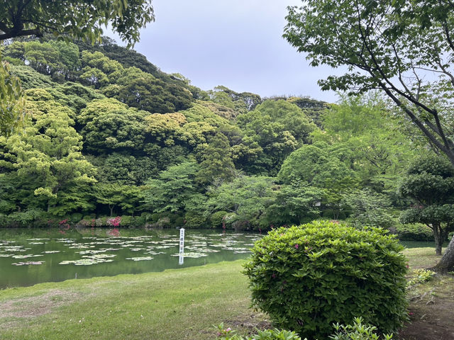 รีวิวเที่ยวชมบ่อทะเลเดือดยูมิ จิโกกุ 🇯🇵