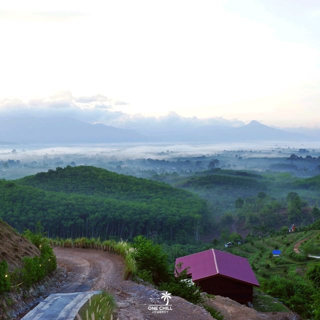 ควนตาเริญ จ.นครศรีธรรมราช