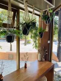 ร้าน MUUSE cafe x bar คาเฟ่สายชิล เชียงราย