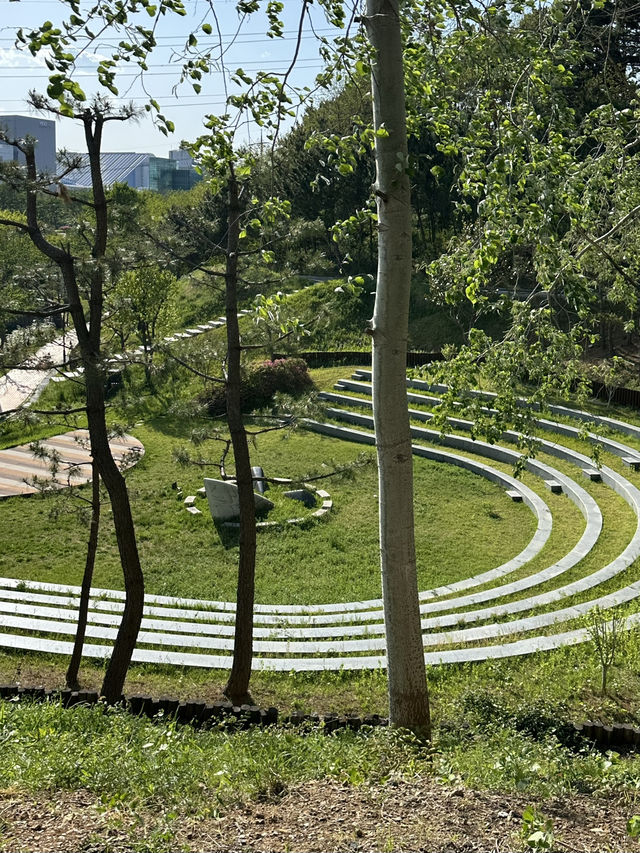 동해 추암 해변의 자연물과 🏞️멋진 조형작품의 조화를 볼 수 있는 동해 산책여행코스