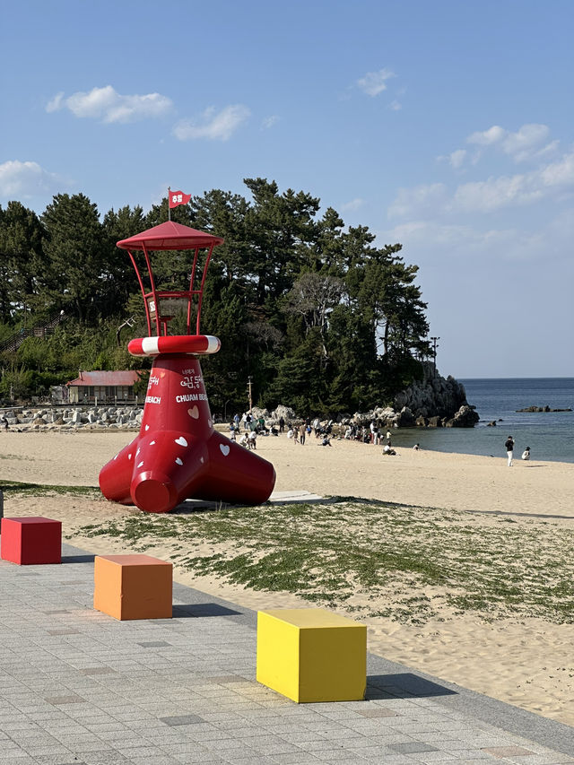 푸르른 동해바다 파도를 머금은 🌊 동해 추암해변 랜드마크 여행가이드🏄‍♂️