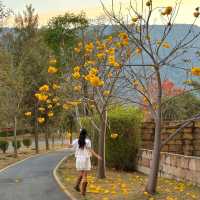 KHAOYAI