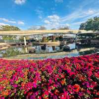 Epcot Flower & Garden Festival Walt Disney World 