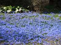 “The Scholar’s Garden: Hokkaido University in Bloom” 