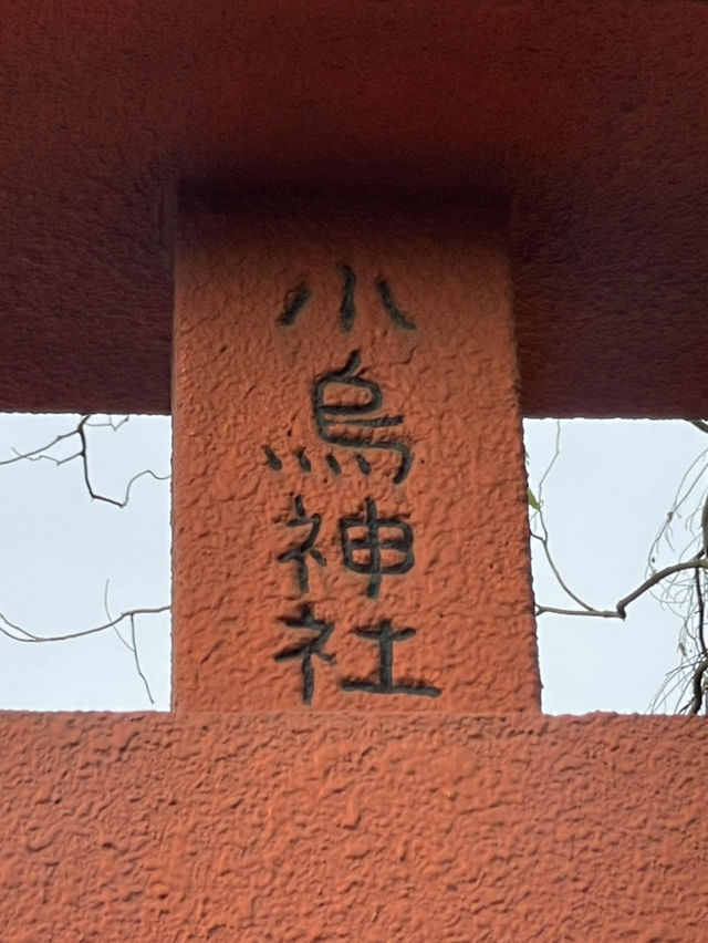 清新脫俗的神隱火山村🌸千尋櫻島