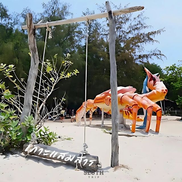🏖  ร่างกายต้องการทะเล เกาะแสมสาร