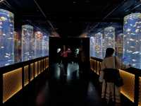 Art Aquarium Ginza: Living art exhibition 